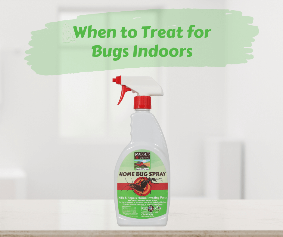 When to Treat for Bugs Indoors Maggie's Farm Ltd