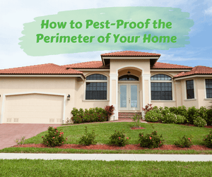 How to Pest-Proof the Perimeter of Your Home