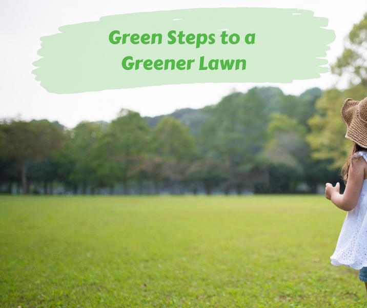 Green Living: Green Steps to a Greener Lawn