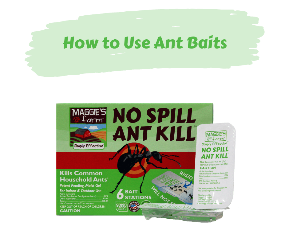 How to Use Ant Baits – Maggie's Farm Ltd