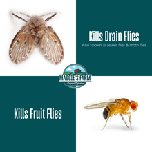 Drain & Fruit Fly Killer