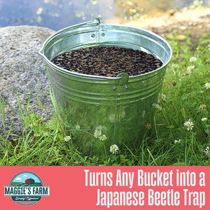 Lure & Kill Japanese Beetle Concentrate