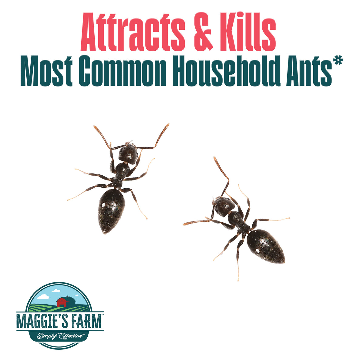 Simply Effective Ant Killer Bait – Maggie's Farm Ltd