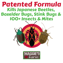 Beetle & Boxelder Bug Killer