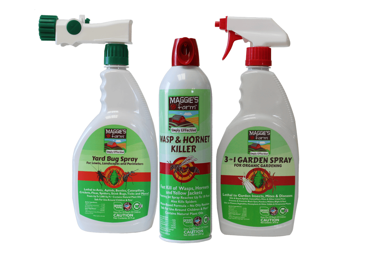 Spraying yard with sales dawn for fleas