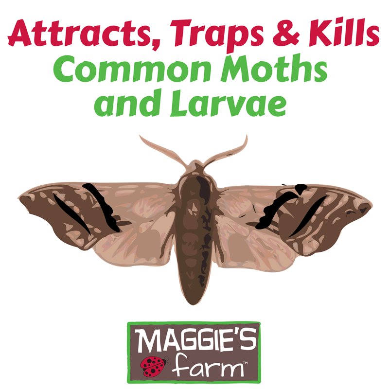 Harris Pantry Moth Traps 2 Ct
