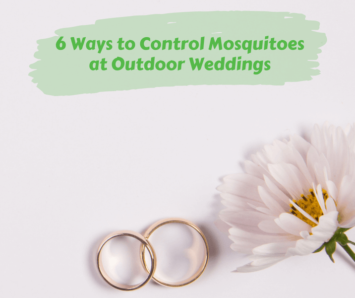 6 Ways to Control Mosquitoes at Outdoor Weddings