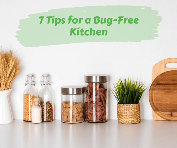 7 Tips for a Bug-Free Kitchen