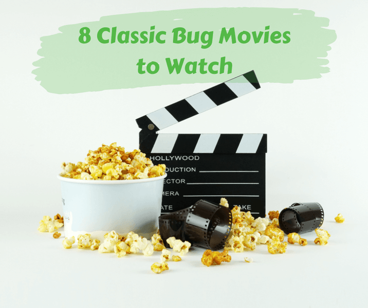 8 Classic Bug Movies to Watch