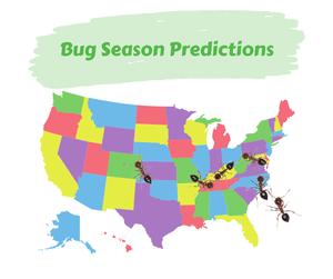 Bug Season Predictions