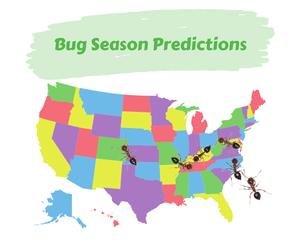 Bug Season Predictions. Map of the United States on white background with ants crawling on it.