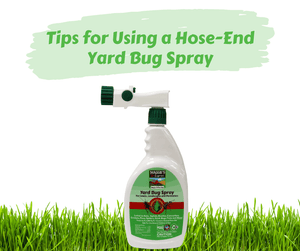 Tips for Using a Hose-End Yard Bug Spray