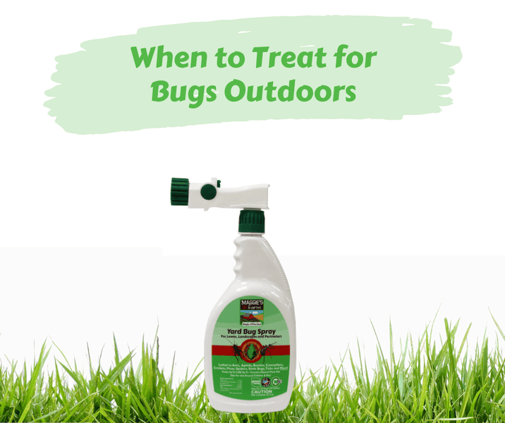 When to Treat for Bugs Outdoors