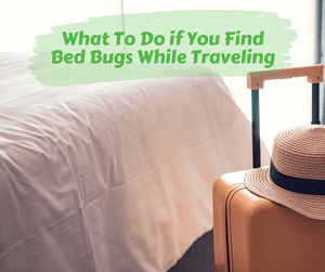 What To Do if You Find Bed Bugs While Traveling. Suitcase and summer hat sitting next to a bed in a hotel room. 