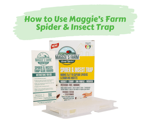 How to Use Maggie's Farm Spider & Insect Trap. Maggie's Farm Spider & Insect Trap product picture on a white background.