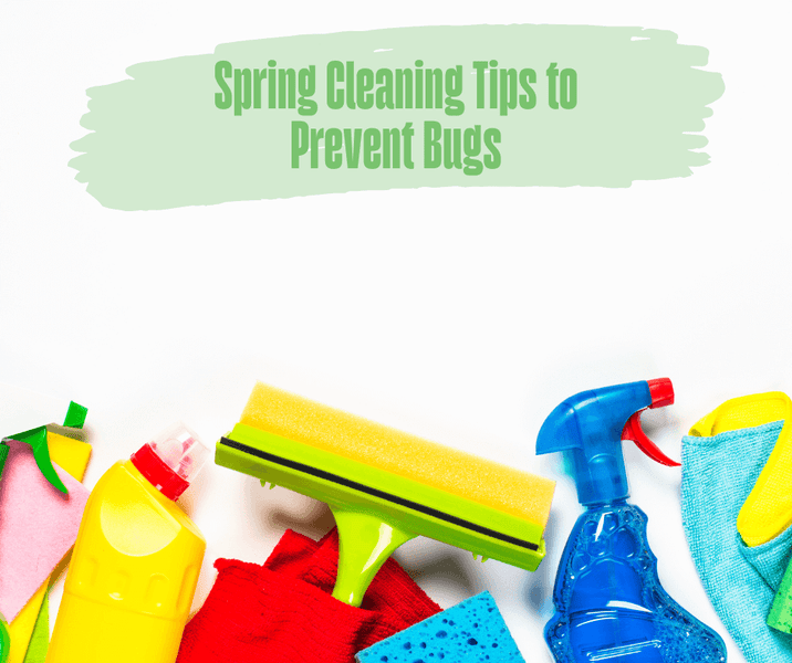 Spring Cleaning Tips to Prevent Bugs