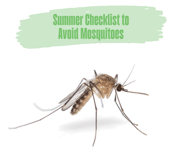 Summer Checklist to Avoid Mosquitoes