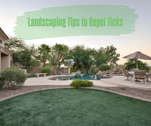 Landscaping Tips to Repel Ticks. Backyard with grassy area and concrete patio space with a swimming pool.