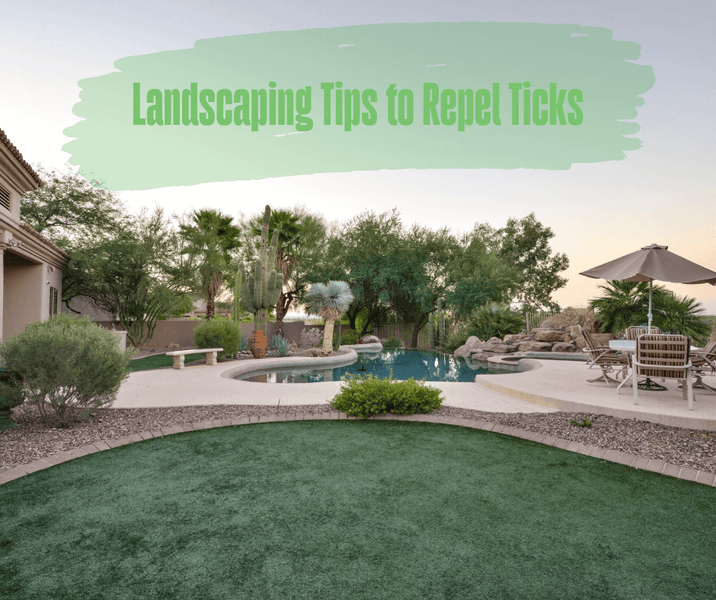 Landscaping Tips to Repel Ticks