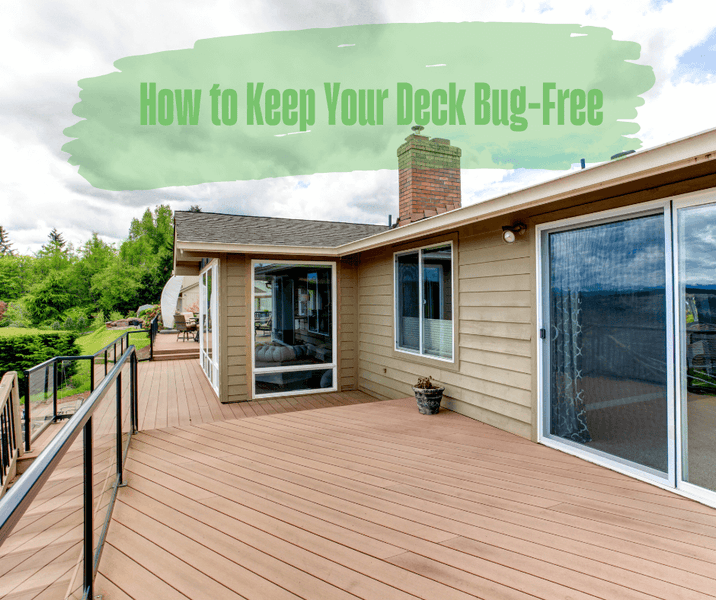 How to Keep Your Deck Bug-Free