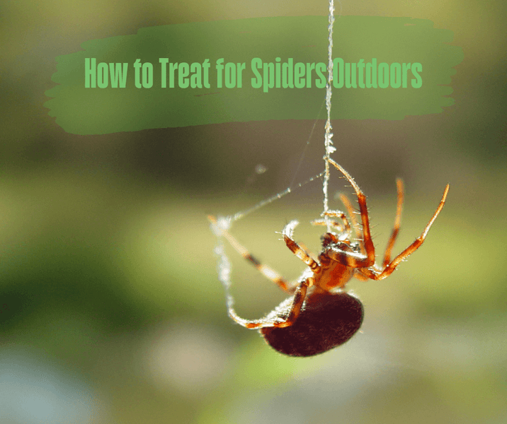 How to Treat for Spiders Outdoors
