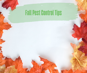Fall Pest Control Tips