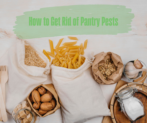 How to Get Rid of Pantry Pests. Pantry food including pasta, nuts, and rice.