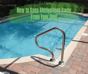 How to Keep Mosquitoes Away From Your Pool. Swimming pool in the back yard.