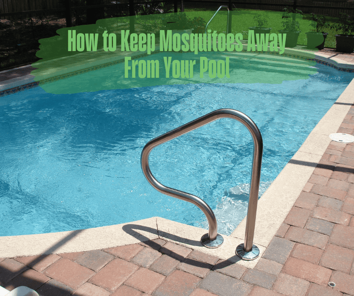 How to Keep Mosquitoes Away From Your Pool
