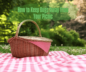 How to Keep Bugs Away from Your Picnic