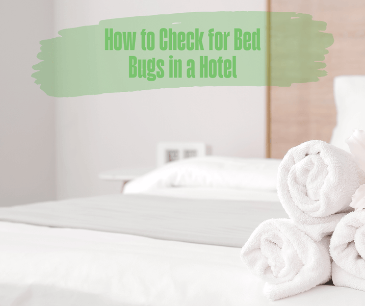 How to Check for Bed Bugs in a Hotel