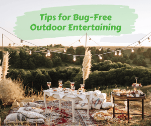 Tips for Bug-Free Outdoor Entertaining