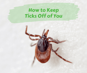 How to Keep Ticks Off of You