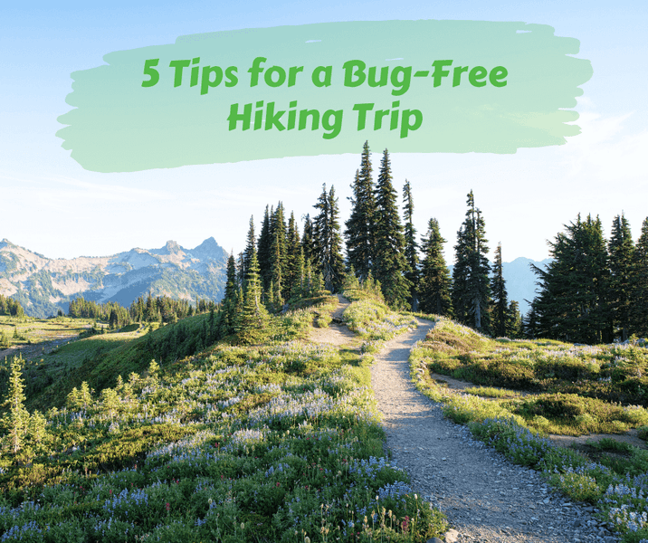 5 Tips for a Bug-Free Hiking Trip