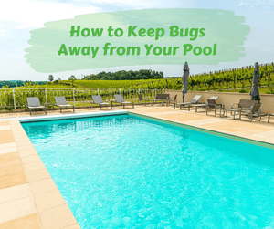 How to Keep Bugs Away from Your Pool
