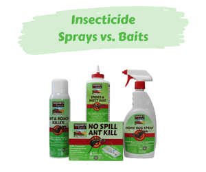 Insecticide Sprays vs. Baits