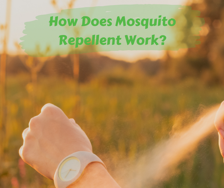 How Does Mosquito Repellent Work?