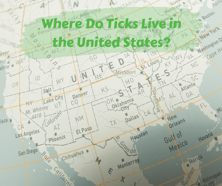 Where Do Ticks Live in the United States?