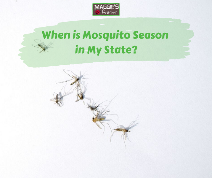 When is Mosquito Season?