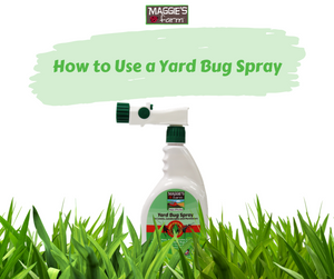 How to Use a Yard Bug Spray