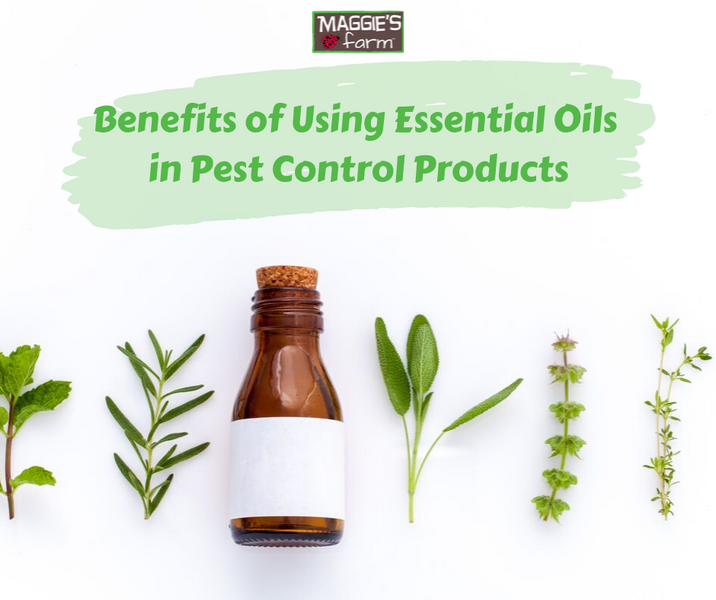Benefits of Using Essential Oils in Maggie’s Farm Pest Control Products