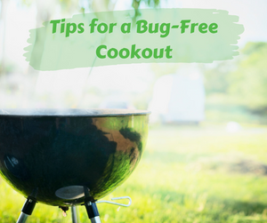 Tips For a Bug-Free Cookout