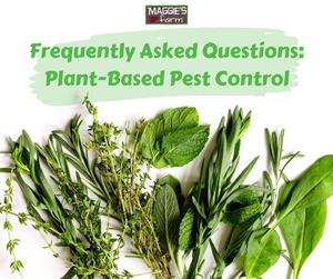 Frequently asked questions about plant-based pest control