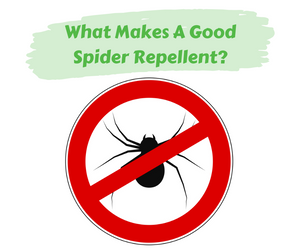 What Makes a Good Spider Repellent? Black spider with a red no sign. White background.