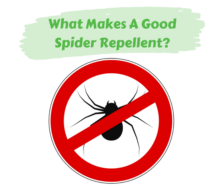 What Makes a Good Spider Repellent?