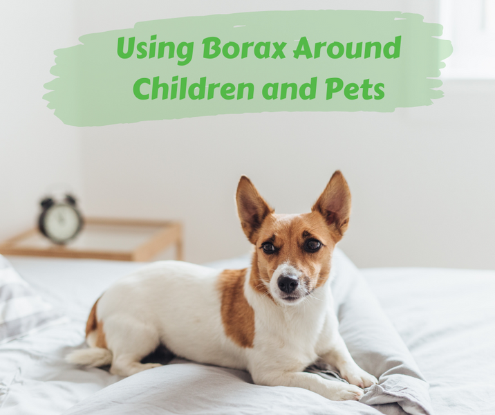Using Borax Around Children and Pets