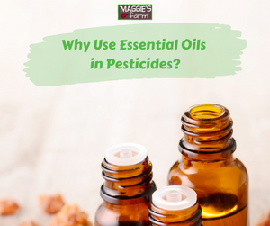 Why Use Essential Oils in Pesticides?