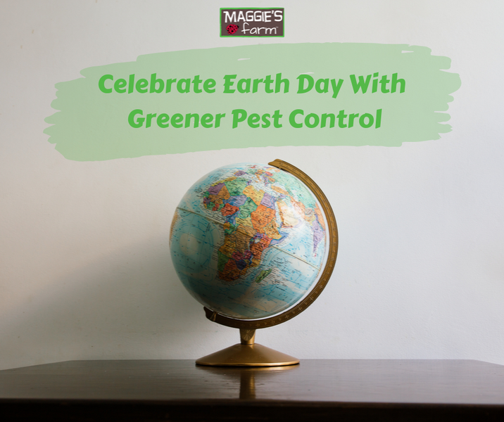 Celebrate Earth Day With Greener Pest Control