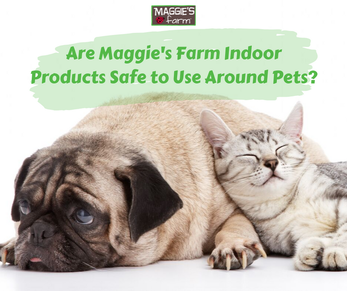 Can I safely use Maggie’s Farm indoor products around pets?