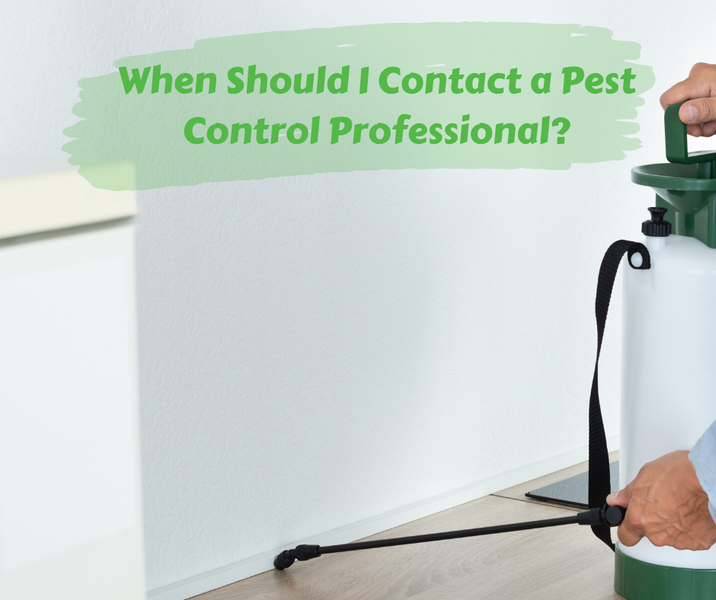 When Should I Contact a Pest Control Professional?